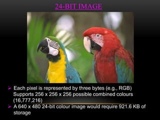 24-BIT IMAGE
 Each pixel is represented by three bytes (e.g., RGB)
Supports 256 x 256 x 256 possible combined colours
(16,777,216)
 A 640 x 480 24-bit colour image would require 921.6 KB of
storage
 