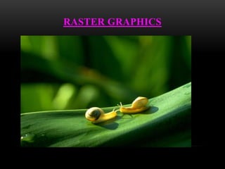 RASTER GRAPHICS
 