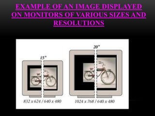 EXAMPLE OF AN IMAGE DISPLAYED
ON MONITORS OF VARIOUS SIZES AND
RESOLUTIONS
 