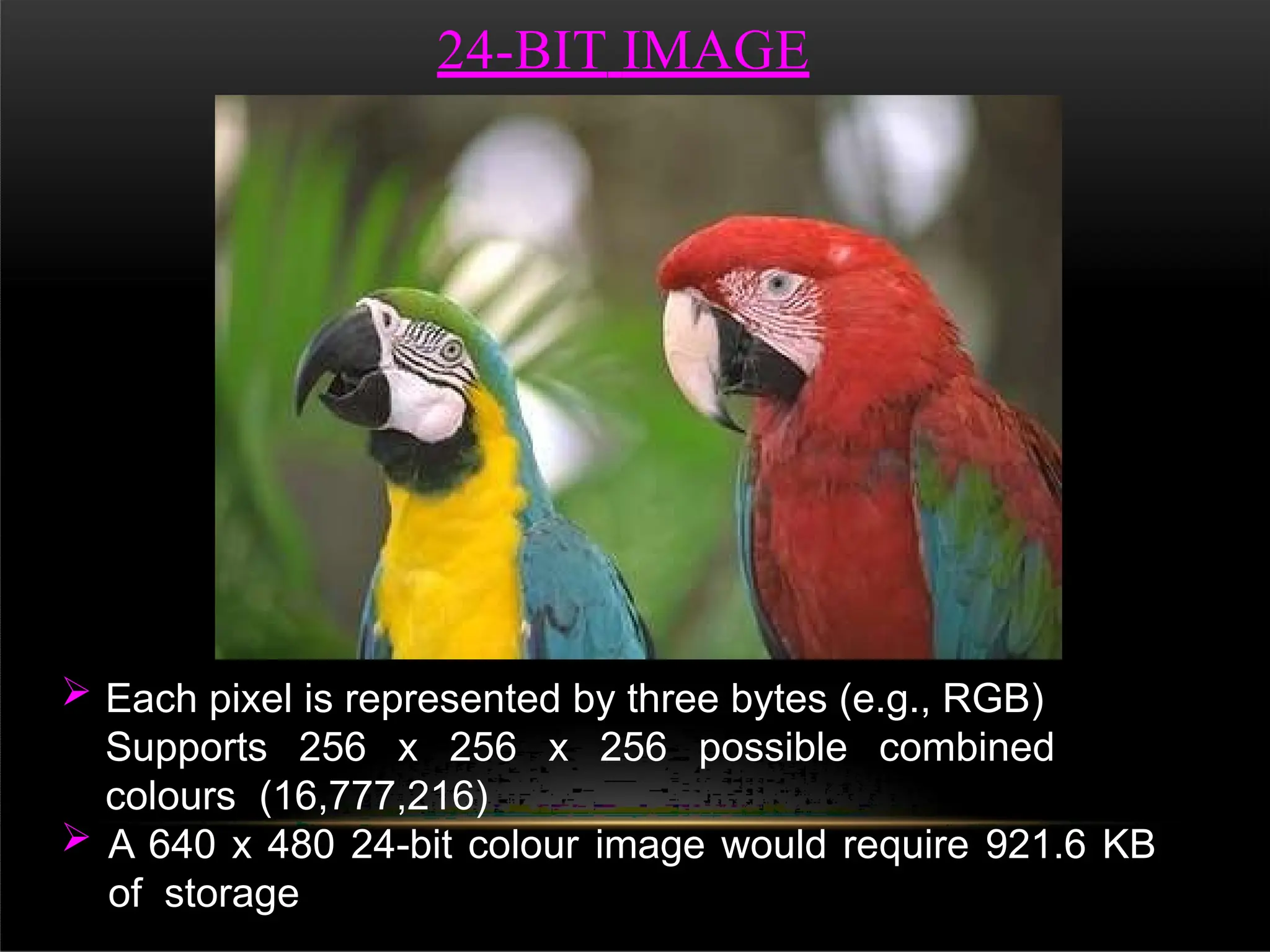 24-BIT IMAGE
 Each pixel is represented by three bytes (e.g., RGB)
Supports 256 x 256 x 256 possible combined
colours (16,777,216)
 A 640 x 480 24-bit colour image would require 921.6 KB
of storage
 