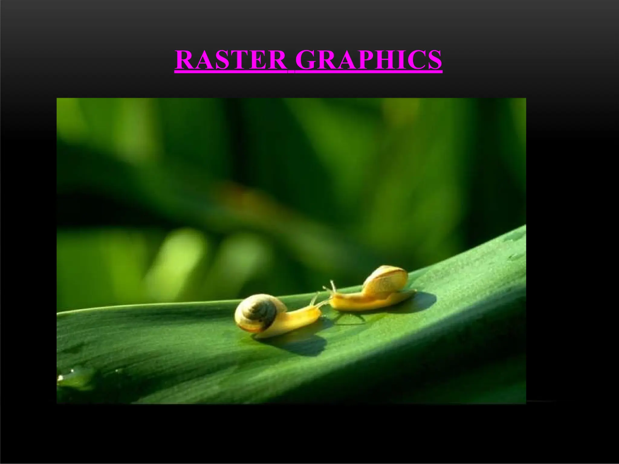 RASTER GRAPHICS
 