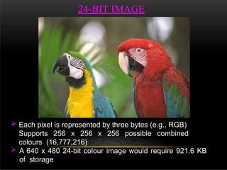 24-BIT IMAGE
 Each pixel is represented by three bytes (e.g., RGB)
Supports 256 x 256 x 256 possible combined
colours (16,777,216)
 A 640 x 480 24-bit colour image would require 921.6 KB
of storage
 