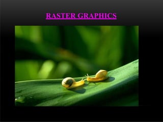 RASTER GRAPHICS
 