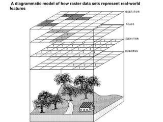 A diagrammatic model of how raster data sets represent real-world
features
 