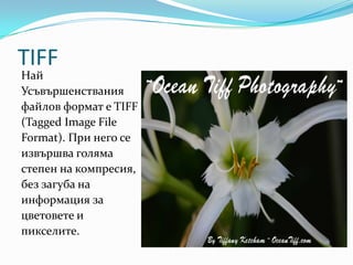 TIFFНайУсъвършенстванияфайлов формат е TIFF(Tagged Image FileFormat). При него сеизвършваголямастепен на компресия,без загуба наинформация зацветовете ипикселите.