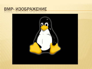 BMp- изображение