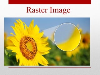 Raster Image
 