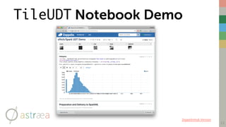 TileUDT Notebook Demo
13
ZeppelinHub Version
 