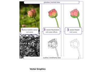 Lukisan Vector Vs Raster Raster vs vector | PPTX
