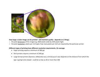 Raster vs vector | PDF