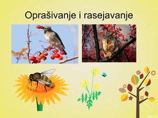 Oprašivanje i rasejavanje
 