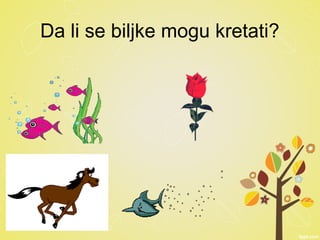 Da li se biljke mogu kretati?
 