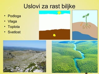 Uslovi za rast biljke
• Podloga
• Vlaga
• Toplota
• Svetlost
 