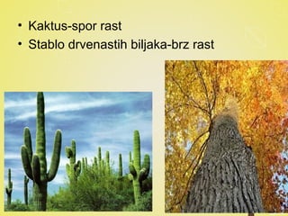 • Kaktus-spor rast
• Stablo drvenastih biljaka-brz rast
 