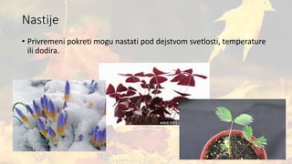 Nastije
• Privremeni pokreti mogu nastati pod dejstvom svetlosti, temperature
ili dodira.
 
