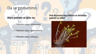 Da se podsetimo
Biljni pokreti se dele na:
• Pokrete rasta i mirovanja
• Pokrete rasta i privremene
• Pokrete rasta i ishrane
Pod dejstvom kog faktora se dešavaju
pokreti sa slike?
 