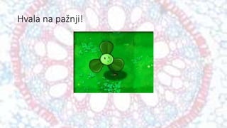 Hvala na pažnji!
 