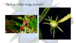Da li se biljke mogu kretati?
 
