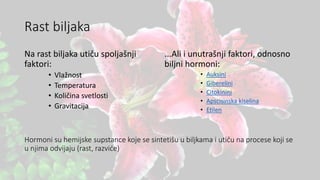 Rast biljaka
Na rast biljaka utiču spoljašnji
faktori:
• Vlažnost
• Temperatura
• Količina svetlosti
• Gravitacija
...Ali i unutrašnji faktori, odnosno
biljni hormoni:
• Auksini
• Giberelini
• Citokinini
• Apscisinska kiselina
• Etilen
Hormoni su hemijske supstance koje se sintetišu u biljkama i utiču na procese koji se
u njima odvijaju (rast, razviće)
 