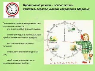 Правильный режим – основа жизни
каждого, главное условие сохранения здоровья.

Основными элементами режима дня
школьника являются:
·
учебные занятия в школе и дома;

·
активный отдых с максимальным
пребыванием на свежем воздухе;
·
регулярное и достаточное
питание;

·
физиологически полноценный
сон;
·
свободная деятельность по
индивидуальному выбору.

 