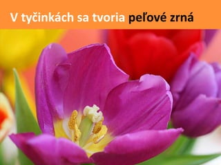 Easy Rastliny Rastliny - Kvety | PPTX