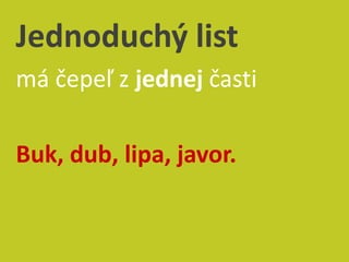Easy Rastliny Rastliny - Listy | PPTX