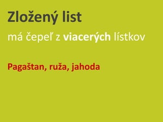Easy Rastliny Rastliny - Listy | PPT