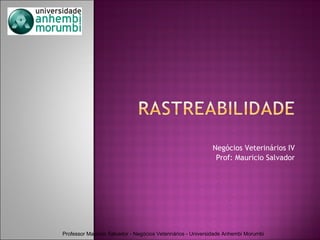 Negócios Veterinários IV Prof: Mauricio Salvador 