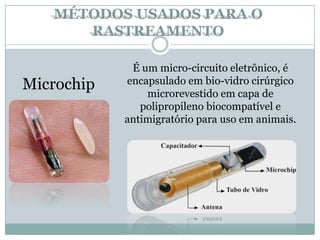 É um micro-circuito eletrônico, é
encapsulado em bio-vidro cirúrgico
microrevestido em capa de
polipropileno biocompatível e
antimigratório para uso em animais.
Microchip
MÉTODOS USADOS PARA O
RASTREAMENTO
 