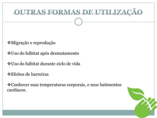 OUTRAS FORMAS DE UTILIZAÇÃO
Migração e reprodução
Uso do hábitat após desmatamento
Uso do hábitat durante ciclo de vida
Efeitos de barreiras
Conhecer suas temperaturas corporais, e seus batimentos
cardíacos.
 