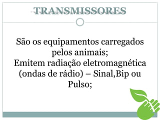 TRANSMISSORES
São os equipamentos carregados
pelos animais;
Emitem radiação eletromagnética
(ondas de rádio) – Sinal,Bip ou
Pulso;
 
