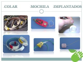 COLAR MOCHILA IMPLANTADOS
 
