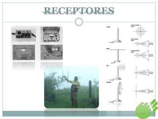 RECEPTORES
 