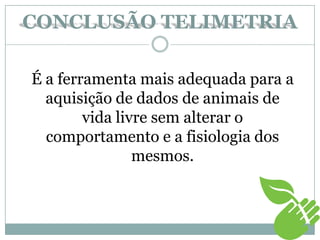 CONCLUSÃO TELIMETRIA
É a ferramenta mais adequada para a
aquisição de dados de animais de
vida livre sem alterar o
comportamento e a fisiologia dos
mesmos.
 