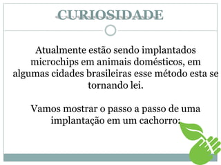 CURIOSIDADE
Atualmente estão sendo implantados
microchips em animais domésticos, em
algumas cidades brasileiras esse método esta se
tornando lei.
Vamos mostrar o passo a passo de uma
implantação em um cachorro:
 