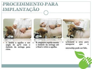  7. Insira a agulha a um
anglo de 45°C com o
êmbolo da seringa para
cima.
 8. empurre rapida-mente
o êmbolo da seringa até
o final e retire a agulha.
 9.Scaneie a area para
assegurar que o
microchip pode ser lido.
PROCEDIMENTO PARA
IMPLANTAÇÃO
 