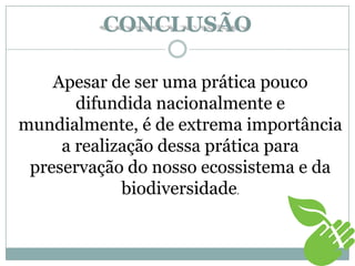 CONCLUSÃO
Apesar de ser uma prática pouco
difundida nacionalmente e
mundialmente, é de extrema importância
a realização dessa prática para
preservação do nosso ecossistema e da
biodiversidade.
 