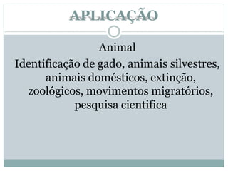 APLICAÇÃO
Animal
Identificação de gado, animais silvestres,
animais domésticos, extinção,
zoológicos, movimentos migratórios,
pesquisa cientifica
 