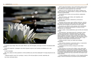 42 43RASTROS DE LUZ | A LEI DA CRUZ
O discípulo logo indaga: Mas como pode, Mestre, aqui não há esgoto, nem água corrente e as pessoas estão
doentes.
Ao que Ele responde: A paisagem mais bela é aquela na qual um ser humano se solidariza com o seu
próximo.
E outra ilustração:
Mas como saberei se estou pautando a minha existência de uma forma adequada? O monge pergunta ao seu
Mestre.
- Saberás quando o amor for o princípio, o meio e o fim de tuas ações no mundo, respondeu ele
Caro leitor, estimada leitora.
Você é viajor das estrelas, mas é você mesmo quem se deve
amar, igualmente ao próximo amando, e ser amado como é e
não conforme os outros gostariam que você fosse.
Alegre-se como é, lutando para ser melhor, confiando que
pode conquistar mais beleza interior, e avanço sem receio pela
estrada da solidariedade.
Compartilhe com a vida e com seu próximo, exatamente
como você é.
Seja você mesmo, sem medos, sem angústias, sem
presunção, nem soberba.
Assuma sua identidade, realizando-se, emocional e
espiritualmente.
Enquanto você se ignora, gera conflitos contínuos, caminha
por caminhos incertos sem saber onde quer chegar, perdendo
excelentes oportunidades de transformar-se para melhor.
As pessoas que refletem outras pessoas, sem identificação,
perdem-se a si mesmas, preocupadas em parecer, jamais
conseguindo ser verdadeiras.
Disse o poeta: A alma desabrocha, qual um lótus de inúmeras
pétalas.
Figuradamente, cada pétala dessa flor, representa nossos
diversos compromissos e interesses perante a vida, que é
uma injunção entre nós, o próximo e Deus. Bem observado,
todas as pétalas continuam unidas, formando um todo, sendo
alimentadas em sua beleza e fragrância, pela absorção da seiva
que lhes dá sustentação e vitalidade, para seu todo – a flor -
prosseguir formosa diante da formosura da vida.
A seiva da vida é o amor, em todas suas múltiplas
expressões.
A flor de lótus simboliza o nascimento divino, o crescimento
espiritual e a pureza do coração e da mente.
O significado da flor de lótus começa em suas raízes –
literalmente.
A flor de lótus é um tipo de lírio d’água, cujas raízes estão
fundamentadas em meio à lama e ao lodo de lagoas e lagos. O
lótus vai subindo à superfície para florescer com notável beleza.
O simbolismo está especialmente nesta capacidade de enfrentar
a escuridão e florescer tão limpa, tão bonita e tão especial para
tantas pessoas.
À noite as pétalas da flor se fecham e a flor mergulha debaixo
d’água. Antes de amanhecer, ela levanta-se das profundezas
 