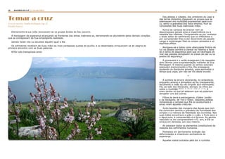10 11RASTROS DE LUZ | A LEI DA CRUZ
Tomar a cruz
(Luz do mundo. Amélia Rodrigues, cap. 22.
Divaldo Franco)
Diariamente à sua volta renovavam-se os grupos ávidos do Seu socorro.
A mensagem da esperança alcançando as fronteiras das almas inebriava-as, derramando-se abundante pelos demais corações
que se contagiavam da Sua empolgante realidade.
Jamais Israel vira ou escutara alguém igual a Ele.
Os sofredores recebiam de Suas mãos as mais vantajosas quotas de auxílio, e os deserdados enriqueciam-se de alegria do
primeiro encontro com as Suas palavras.
N’Ele tudo transpirava amor.
Das aldeias e cidades, dos arredores do Lago e
das terras distantes chegavam os grupos que se
adensavam em multidões expressivas para ouvi-
Lo, sentir a grandeza dos Seus ensinos, fruir as
concessões das Suas dadivosas mãos.
Nunca se cansava de ensinar nem se
descoroçoava jamais ante a impertinência ou a
rebeldia dos infelizes. Compreendia-os por conhecer
o ácido sabor do sofrimento que os infelicitava e
por compreender-lhes a dor decorrente da pesada
canga a constranger-lhes os corpos cansados e os
espíritos aflitos.
Alongava-se a todos como abençoada fímbria de
luz na pesada sombra a clarear os roteiros e fazia-
se a barca de segurança para que os náufragos do
mar das paixões atingissem as praias da paz ou os
postos da segurança.
A primavera e o verão ensejavam-Lhe naqueles
dois últimos anos a apresentação rutilante da Sua
Mensagem. E mesmo quando os ventos outonais
sopravam prenunciando o frio, Ele prosseguia
ajudando os discípulos amados, para aproveitar o
tempo que urgia, por não ser Ele deste mundo.
*
À sombra da árvore veneranda, no entardecer,
enquanto amena a atmosfera se faz transparente,
facultando a visão do céu límpido azul-alaranjado,
Ele, ao lado dos discípulos, alongou os olhos por
sobre a multidão (Mateus: 10: 26 a 33 - Lucas: 12: 1 a 12)
. E
eram tantos os que ali estavam que se poderiam
atropelar uns aos outros.
Filhos da terra e estrangeiros, d’além Jordão
e da Decápolis, de Tiro e Sídon, daquelas aldeias
romanescas e simples que Ele se acostumara a
amar, eram aquelas criaturas.
Junto àqueles das margens das águas que com
Ele conviviam sentira a grandeza da humildade dos
simples e a nobreza da fidelidade dos humildes. Nas
suas mãos encontrava o grão e o pão, o fruto seco e
a água pura, a compreensão e a ternura. As gentes
nascidas na dor compreendiam-n’O, sim, e Ele os
amava em demasia, por isso mesmo.
Ali estavam todos os elementos constitutivos da
melodia dos sofrimentos humanos.
Mutilados em permanente exibição das
deformidades e miseráveis sonhadores da
esperança.
Aqueles rostos sulcados pela dor e curtidos
 