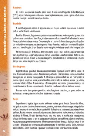 10
CARACTERÍSTICASBÁSICASDOSRASTROS
Rastros
Os rastros são marcas deixadas pelas patas de um animal.Segundo Becker&Dalponte
(1991), alguns fatores podem influenciar na variação dos rastros, como: espécie, idade, sexo,
marcha, condições atmosféricas e tipo de solo.
Espécie
A identificação dos rastros de algumas espécies requer bastante experiência. Já outras
podem ser facilmente identificadas.
Espéciesdiferentes,logicamente,possuemrastrosdiferentes,porémespéciesaparentadas
podemcausarconfusãonaidentificaçãoedeve-setomarbastantecuidadoafimdenãoserem
fornecidasinformaçõeserrôneas.Comoexemplo:osrastrosdafêmeadeonça-pintadapodem
ser confundidos com os rastros de um puma. Fotos, desenhos, medidas e contramolde podem
ajudar na identificação, já que dessa forma os vestígios poderão ser analisados com precisão.
Até mesmo espécies de famílias diferentes como onças e cães podem propiciar confusão
para o público leigo ou para aqueles que moram próximos a áreas florestadas. Pode-se citar
que canídeos sempre deixam as marcas das garras no substrato e os felinos nunca o fazem,
porque suas unhas ou garras são retráteis.
Idade/peso
Dependendo da qualidade dos rastros encontrados, é possível inferir sobre a idade e o
peso de um determinado animal. Rastros mais profundos estariam dessa forma indicando a
passagem de um animal mais pesado. A diferença na profundidade de um rastro sobre o
mesmo tipo de substrato torna possível também inferir sobre a idade do animal (se adulto,
jovem ou filhote). O fato de que machos e fêmeas podem apresentar grandes diferenças em
tamanho deve ser levado em conta antes de definir conclusões sobre a idade do animal.
Rastros muito bons podem permitir a visualização de cicatrizes, as quais podem ser
atribuídas a presença de um animal de idade mais avançada.
Sexo
Dependendodaespécie,algunsmachospodemsermaioresqueasfêmeas.Éocasodosfelinos,
nosquaisosmachossãonormalmentemaiores,portanto,rastrosdeanimaismaispesadospoderiam
indicarapresençadeummacho.Nestecasoédifícildistinguirseosrastrosdeixadosnãoestiverem
perfeitos. Rastros menores acompanhando os rastros de um animal maior pode estar indicando a
existência de filhotes. No caso da onça-pintada e da onça-parda os machos não participam da
criaçãodosfilhotes,espera-sequeosrastrosobservadosjuntoaosdosfilhotessejamdeumafêmea.
Nasespéciesqueapresentemtamanhosdiferentesentremachosefêmeas,adistinçãosexualdeum
sórastroédificultadaporhaverapossibilidadedesetratardeindivíduosjuvenis. Enfim,hámuitas
possibilidadesaseremdiscutidas,equalquerconclusãodevesercriteriosamenteavaliada.
 