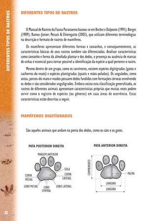 12
DIFERENTESTIPOSDERASTROS
DIFERENTES TIPOS DE RASTROS
OManualdeRastrosdaFaunaParanaensebaseou-seemBeckereDalponte(1991);Borges
(1989); Ramos-Júnior; Pessuti & Chieregatto (2003), que utilizam diferentes terminologias
na descrição e formato de rastros de mamíferos.
Os mamíferos apresentam diferentes formas e tamanhos, e consequentemente, as
características básicas de seus rastros também são diferenciadas. Analisar características
como tamanho e forma da almofada plantar e dos dedos, e presença ou ausência de marcas
de unhas é essencial para tornar possível a identificação da espécie a qual pertence o rastro.
Mesmo dentro de um grupo, como os carnívoros, existem espécies digitígradas (gatos e
cachorros-do-mato) e espécies plantígradas (quatis e mãos-peladas). Os ungulados, como
antas, porcos-do-mato e veados possuem dedos fundidos com formações córneas envolvendo
os dedos e são considerados ungulígrados. Embora exista esta classificação generalizada, os
rastros de diferentes animais apresentam características próprias que muitas vezes podem
servir como o registro de espécies (ou gêneros) em suas áreas de ocorrência. Estas
características estão descritas a seguir.
MAMÍFEROS DIGITÍGRADOS
São aqueles animais que andam na ponta dos dedos, como os cães e os gatos.
 
