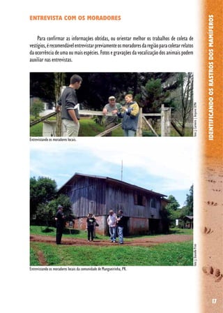 17
IDENTIFICANDOOSRASTROSDOSMAMÍFEROS
ENTREVISTA COM OS MORADORES
Para confirmar as informações obtidas, ou orientar melhor os trabalhos de coleta de
vestígios,érecomendávelentrevistarpreviamenteosmoradoresdaregiãoparacoletarrelatos
da ocorrência de uma ou mais espécies. Fotos e gravações da vocalização dos animais podem
auxiliar nas entrevistas.
Entrevistando os moradores locais da comunidade de Mangueirinha, PR.
foto:J.Carneiro|ArquivoSEMAfoto:J.DaniellePrim
Entrevistando os moradores locais.
 
