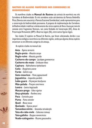 18
RASTROS DE ALGUNS MAMÍFEROS NOS CORREDORES DE
BIODIVERSIDADE
Os mamíferos citados no Manual de Rastros são animais de ocorrência nos três
Corredores de Biodiversidade. Os três corredores estão sob domínios da Floresta Ombrófila
Mista(florestacomaraucária)eFlorestaEstacionalSemidecidual,sendorepresentativospara
a conservação da biodiversidade paranaense. A proposta de implementação dos Corredores
deBiodiversidadeéviabilizarodeslocamentodasváriasespéciesdefloraefaunapormeiode
conexão entre fragmentos florestais, tais como Unidades de Conservação (UC), Áreas de
Preservação Permanente (APP) e Reservas Legais (RL), entre outras figuras legais.
São citadas 23 espécies no Manual de Rastros, que foram selecionadas devido à sua
importância ecológica e ocorrência nas diferentes regiões, sendo que algumas destas espécies
encontram-se em diferentes categorias de ameaça.
As espécies citadas no manual são:
Anta - Tapirus terrestris
Bugio-preto - Alouatta caraya
Bugio-ruivo - Alouatta guariba
Cachorro-do-campo- Lycalopex gymnocercus
Cachorro-do-mato - Cerdocyon thous
Capivara - Hydrochoerus hydrochaeris
Cutia - Dasyprocta azarae
Furão - Galictis cuja
Gato-mourisco - Puma yagouaroundi
Jaguatirica - Leopardus pardalis
Lobo-guará - Chrysocyon brachyurus
Mão-pelada - Procyon cancrivorus
Lontra - Lontra longicaudis
Macaco-prego - Cebus nigritus
Onça-pintada - Panthera onca
Paca - Cuniculus paca
Puma - Puma concolor
Quati - Nasua nasua
Queixada - Tayassu pecari
Tamanduá-mirim - Tamandua tetradactyla
Tatu-de-rabo-mole - Cabassous tatouay
Tatu-galinha - Dasypus novemcinctus
Veado-catingueiro - Mazama gouazoubira
 