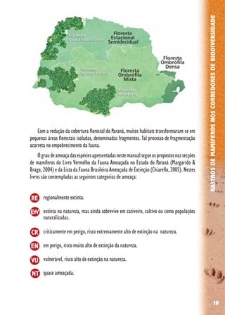 19
RASTROSDEMAMÍFEROSNOSCORREDORESDEBIODIVERSIDADE
regionalmente extinta.
extinta na natureza, mas ainda sobrevive em cativeiro, cultivo ou como populações
naturalizadas.
criticamente em perigo, risco extremamente alto de extinção na natureza.
em perigo, risco muito alto de extinção da natureza.
vulnerável, risco alto de extinção na natureza.
quase ameaçada.
VU
NT
CR
RE
EW
EN
Com a redução da cobertura florestal do Paraná, muitos habitats transformaram-se em
pequenas áreas florestais isoladas, denominadas fragmentos. Tal processo de fragmentação
acarreta no empobrecimento da fauna.
Ograudeameaçadasespéciesapresentadasnestemanualsegueospropostosnassecções
de mamíferos do Livro Vermelho da Fauna Ameaçada no Estado do Paraná (Margarido &
Braga, 2004) e da Lista da Fauna Brasileira Ameaçada de Extinção (Chiarello, 2005). Nestes
livros são contempladas as seguintes categorias de ameaça:
 