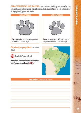 31
ORDEMCARNIVORA
Distribuição geográfica: em todo o
Brasil.
Aespécieéconsideradavulnerável
no Paraná e no Brasil (VU).
Estado do Paraná e Brasil.
PATA ANTERIOR PATA POSTERIOR
ANOTAÇÕES |REGISTROS DE CAMPO
CARACTERÍSTICAS DO RASTRO: seu caminhar é digitígrado, os dedos são
arredondados,apalmaéampla,marcabemosubstrato,assemelhando-seadapataanterior
de onça-pintada, porém bem menor.
Pata anterior: 4a5cmdecomprimento
total e 4,5 a 5,5 cm de largura.
Pata posterior: 4,3 a 4,7 cm de
comprimento total e 4,3 a 5 cm de largura.
VU
 