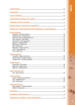 3
INDICE
APRESENTAÇÃO ............................................................................................................... 04
INTRODUÇÃO ................................................................................................................... 05
CLASSE MAMMALIA .......................................................................................................... 07
CARACTERÍSTICAS BÁSICAS DOS RASTROS ....................................................................... 09
DIFERENTES TIPOS DE RASTROS ...................................................................................... 12
IDENTIFICANDO OS RASTROS DOS MAMÍFEROS............................................................... 14
RASTROS DE ALGUNS MAMÍFEROS NOS CORREDORES DE BIODIVERSIDADE ................... 18
ORDEM CARNIVORA
Lobo-guará | Chrysocyon brachyurus................................................................................................................... 20
Cachorro-do-mato |Cerdocyon thous .................................................................................................................. 22
Cachorro-do-campo | Lycalopex gymnocercus ...................................................................................................... 24
Puma, suçuarana | Puma concolor ....................................................................................................................... 26
Gato-mourisco | Puma yagouaroundi .................................................................................................................. 28
Jaguatirica |Leopardus pardalis .......................................................................................................................... 30
Onça-pintada |Panthera onca ............................................................................................................................. 32
Quati | Nasua nasua ............................................................................................................................................ 34
Mão-pelada | Procyon cancrivorus ....................................................................................................................... 36
Lontra | Lontra longicaudis.................................................................................................................................. 38
Furão | Galictis cuja ............................................................................................................................................. 40
ORDEM XENARTHRA
Tatu-galinha |Dasypus novemcinctus .................................................................................................................. 42
Tatu-de-rabo-mole | Cabassous tatouay............................................................................................................... 44
Tamanduá-mirim | Tamandua tetradactyla .......................................................................................................... 46
ORDEM PRIMATES
Macaco-Prego | Cebus nigritus ............................................................................................................................. 48
Bugio-preto | Alouatta caraya ............................................................................................................................. 50
Bugio-ruivo |Alouatta guariba ............................................................................................................................ 52
ORDEM PERISSODACTILA
Anta | Tapirus terrestris ....................................................................................................................................... 54
ORDEM RODENTIA
Capivara |Hydrochoerus hydrochaeris ................................................................................................................. 56
Cutia | Dasyprocta azarae .................................................................................................................................... 58
Paca | Cuniculus paca .......................................................................................................................................... 60
ORDEM ARTIODACTYLA
Veado-catingueiro | Mazama gouazoubira ........................................................................................................... 62
Queixada | Tayassu pecari .................................................................................................................................... 64
GLOSSÁRIO ...................................................................................................................... 66
REFERÊNCIAS BIBLIOGRÁFICAS ....................................................................................... 67
BIBLIOGRAFIA SUGERIDA e APOIO INSTITUCIONAL......................................................... 69
 