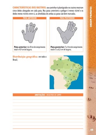 49
ORDEMPRIMATES
Distribuição geográfica: em todo o
Brasil.
PATA ANTERIOR PATA POSTERIOR
ANOTAÇÕES |REGISTROS DE CAMPO
Pata anterior: 6a10cmdecomprimento
total e 4,9 cm de largura.
Pata posterior:7a11cmdecomprimento
total e 5 a 6,5 cm de largura.
CARACTERÍSTICAS DOS RASTROS:seucaminharéplantígradoeosrastrosmostram
cinco dedos alongados em cada pata. Nas patas anteriores o polegar é menos visível e os
dedos menos visíveis entre si, as almofadas de ambas as patas são bem marcadas.
 
