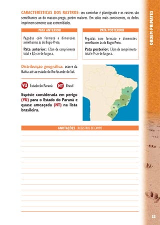 53
ORDEMPRIMATES
Distribuição geográfica: ocorre da
Bahia até ao estado do Rio Grande do Sul.
Espécie considerada em perigo
(VU) para o Estado do Paraná e
quase ameaçada (NT) na lista
brasileira.
Estado do Paraná Brasil
PATA ANTERIOR PATA POSTERIOR
ANOTAÇÕES |REGISTROS DE CAMPO
CARACTERÍSTICAS DOS RASTROS: seu caminhar é plantígrado e os rastros são
semelhantes ao do macaco-prego, porém maiores. Em solos mais consistentes, os dedos
imprimem somente suas extremidades.
Pata anterior: 12cm de comprimento
total e 8,5 cm de largura.
Pata posterior: 13cm de comprimento
total e 9 cm de largura.
Pegadas com formato e dimensões
semelhantes às do Bugio Preto.
Pegadas com formato e dimensões
semelhantes às do Bugio Preto.
VU NT
 