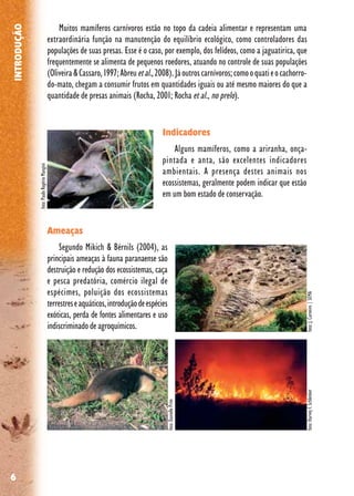 6
INTRODUÇÃO
Muitos mamíferos carnívoros estão no topo da cadeia alimentar e representam uma
extraordinária função na manutenção do equilíbrio ecológico, como controladores das
populações de suas presas. Esse é o caso, por exemplo, dos felídeos, como a jaguatirica, que
frequentemente se alimenta de pequenos roedores, atuando no controle de suas populações
(Oliveira&Cassaro,1997;Abreuetal.,2008).Jáoutroscarnívoros;comooquatieocachorro-
do-mato, chegam a consumir frutos em quantidades iguais ou até mesmo maiores do que a
quantidade de presas animais (Rocha, 2001; Rocha et al., no prelo).
Indicadores
Alguns mamíferos, como a ariranha, onça-
pintada e anta, são excelentes indicadores
ambientais. A presença destes animais nos
ecossistemas, geralmente podem indicar que estão
em um bom estado de conservação.
Ameaças
Segundo Mikich & Bérnils (2004), as
principais ameaças à fauna paranaense são
destruição e redução dos ecossistemas, caça
e pesca predatória, comércio ilegal de
espécimes, poluição dos ecossistemas
terrestreseaquáticos,introduçãodeespécies
exóticas, perda de fontes alimentares e uso
indiscriminado de agroquímicos.
foto:HarveyF.Schlenkerfoto:J.Carneiro|SEMA
foto:DaniellePrim
foto:PauloRogérioMangini
 